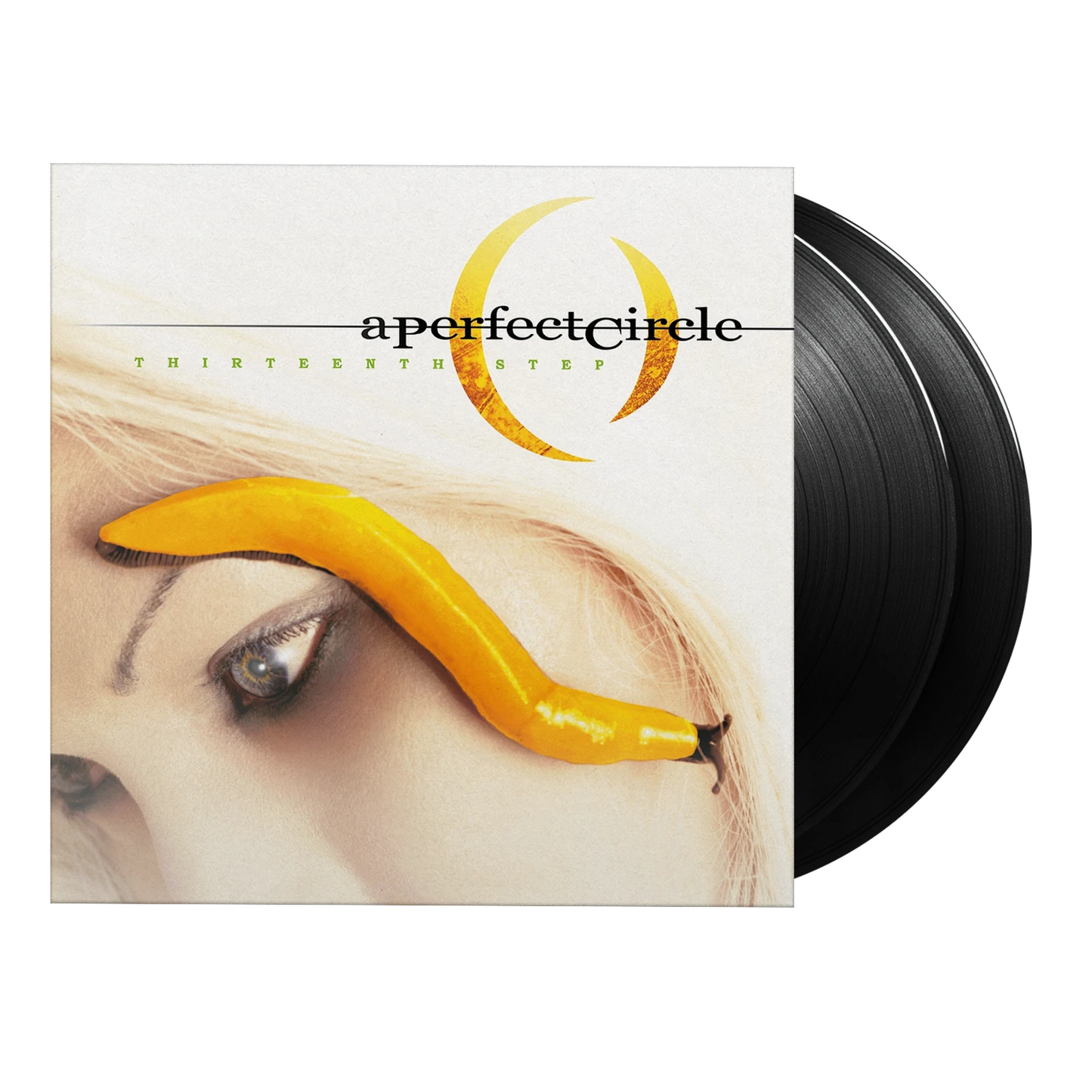 Thirteenth Step - Vinyl
