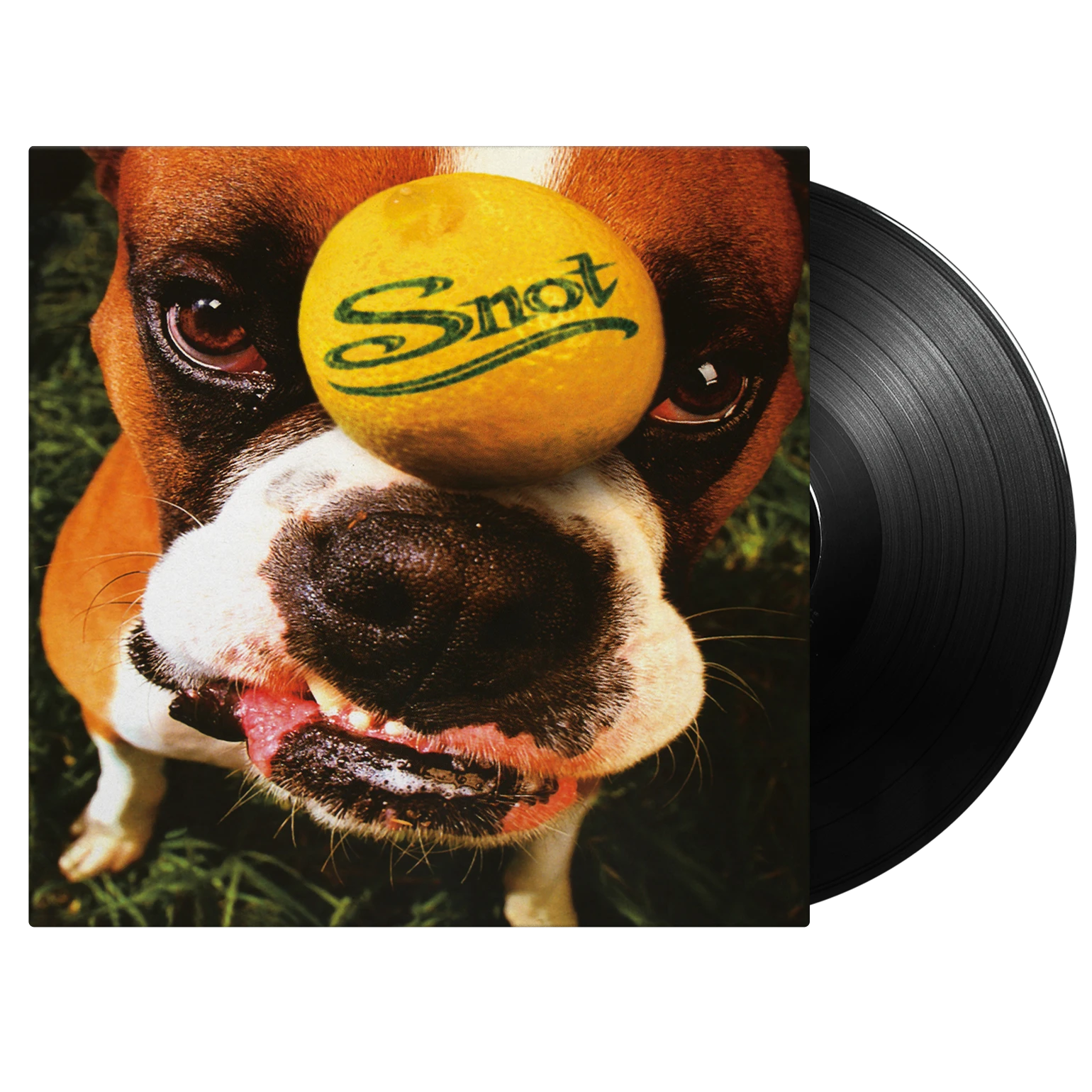 Snot - Get Some (Vinyl) | Music On Vinyl