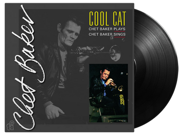 Cool Cat