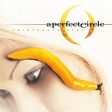 Thirteenth Step - Vinyl