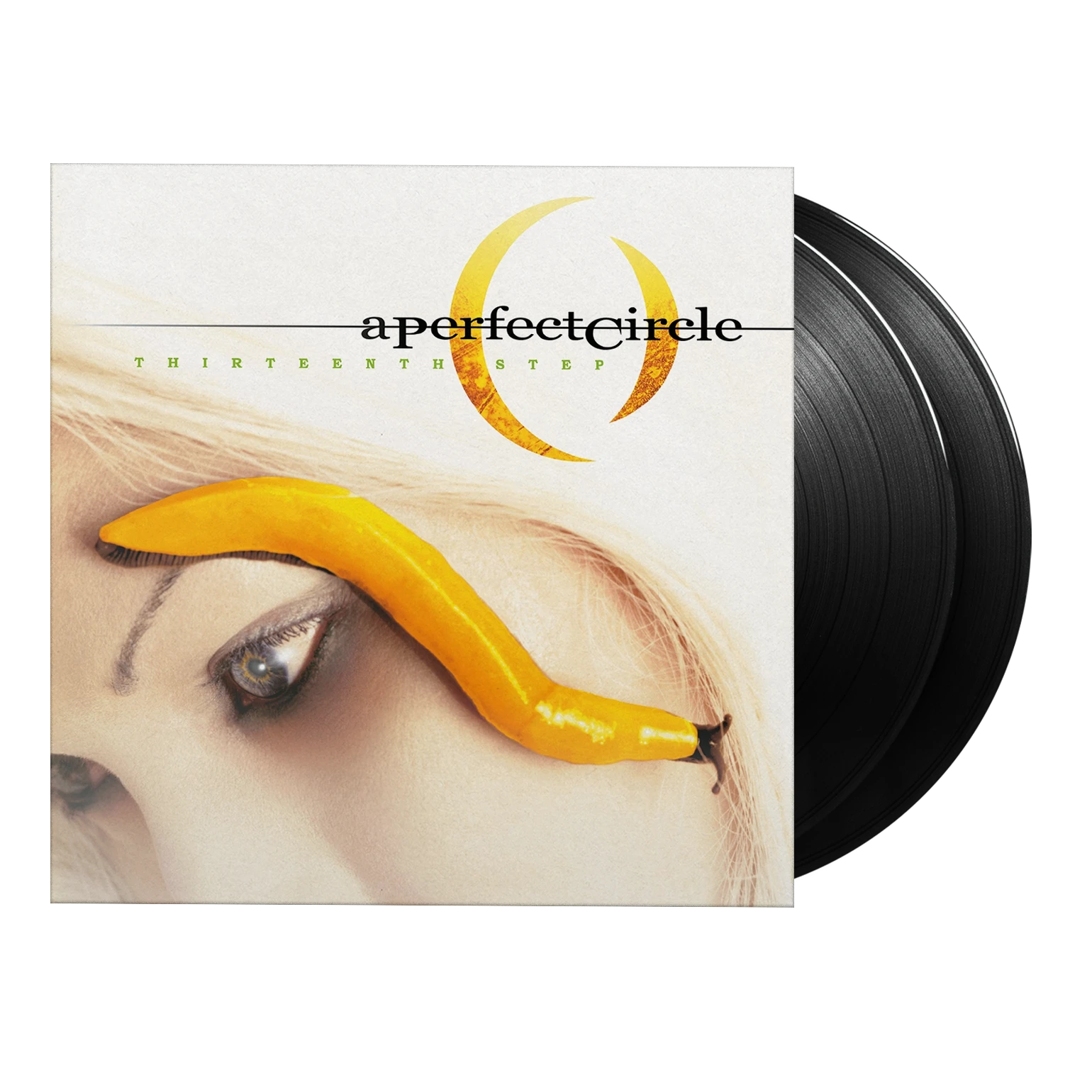 Thirteenth Step - Vinyl