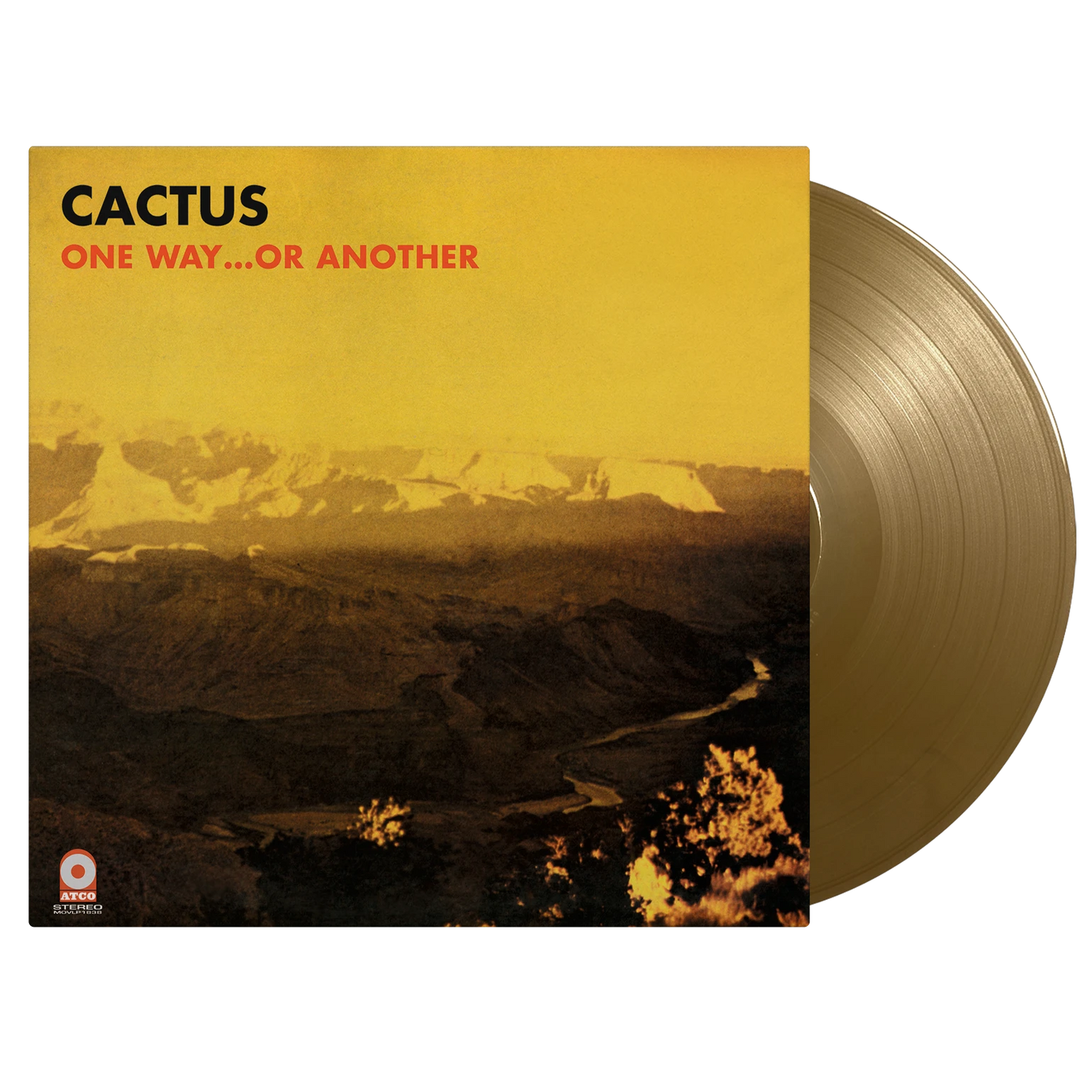 Cactus