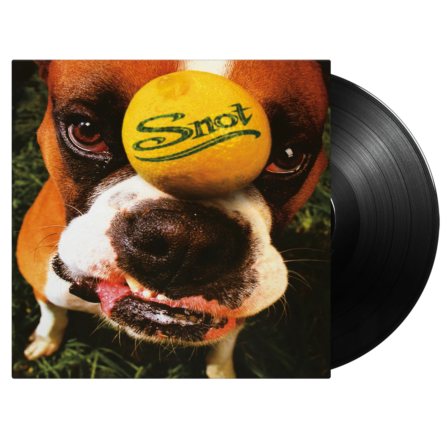 Snot