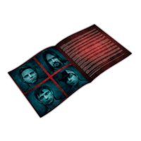 A Snow Capped Romance