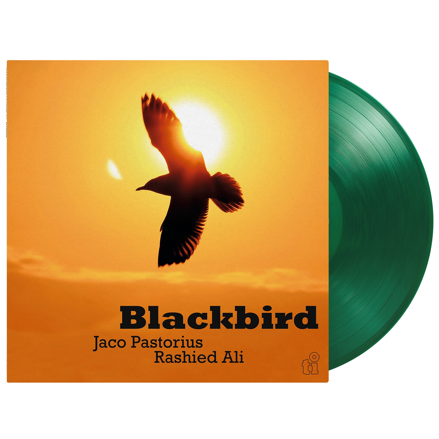 Blackbird