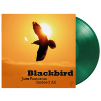 Blackbird