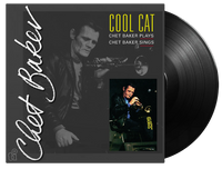 Cool Cat