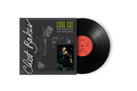 Cool Cat