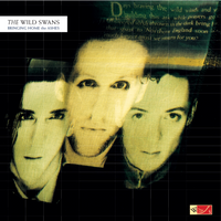 Bringing Home The Ashes