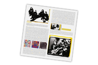 Some Furtive Years - A Ned's Anthology