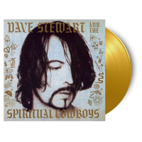 Dave Stewart And The Spiritual Cowboys