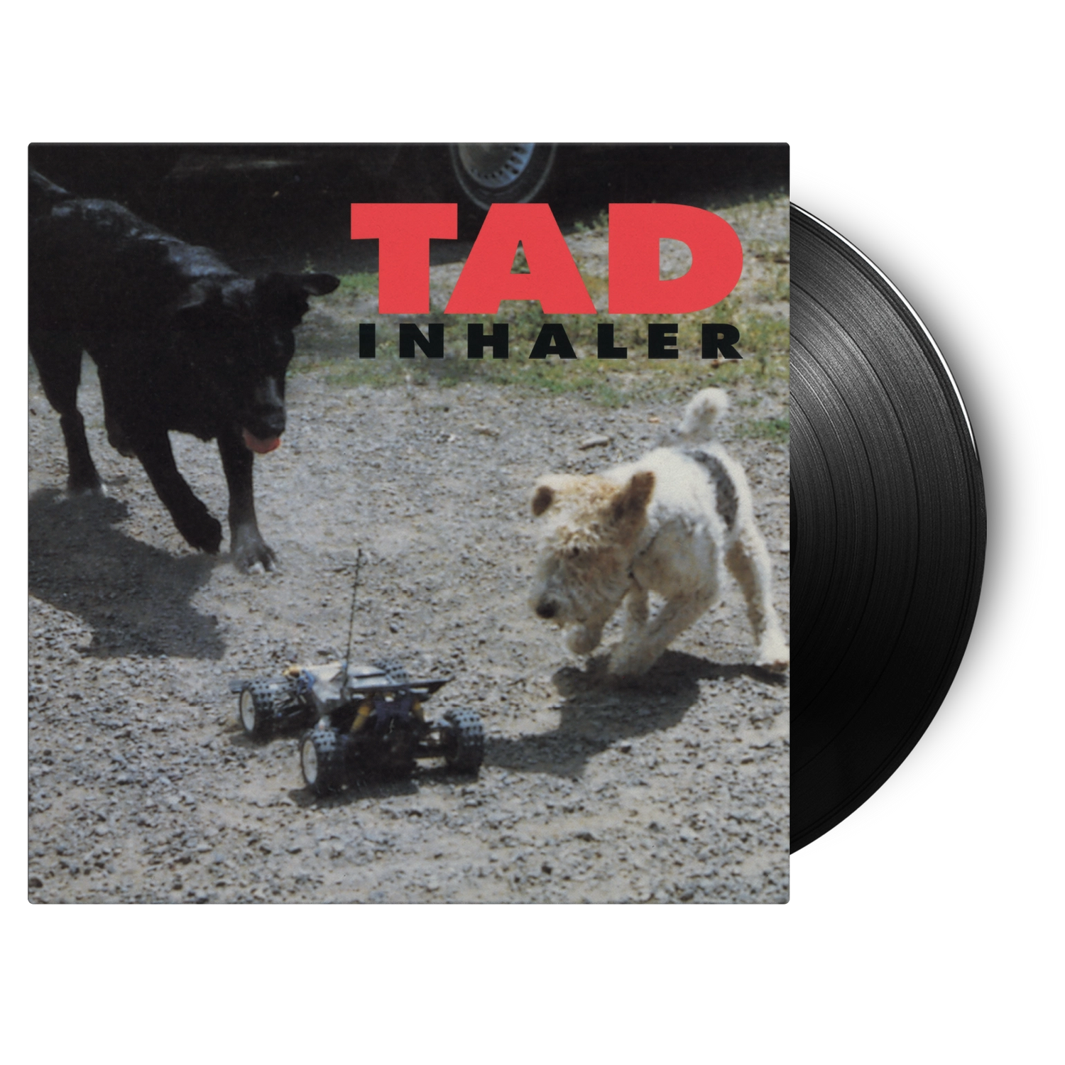 Tad