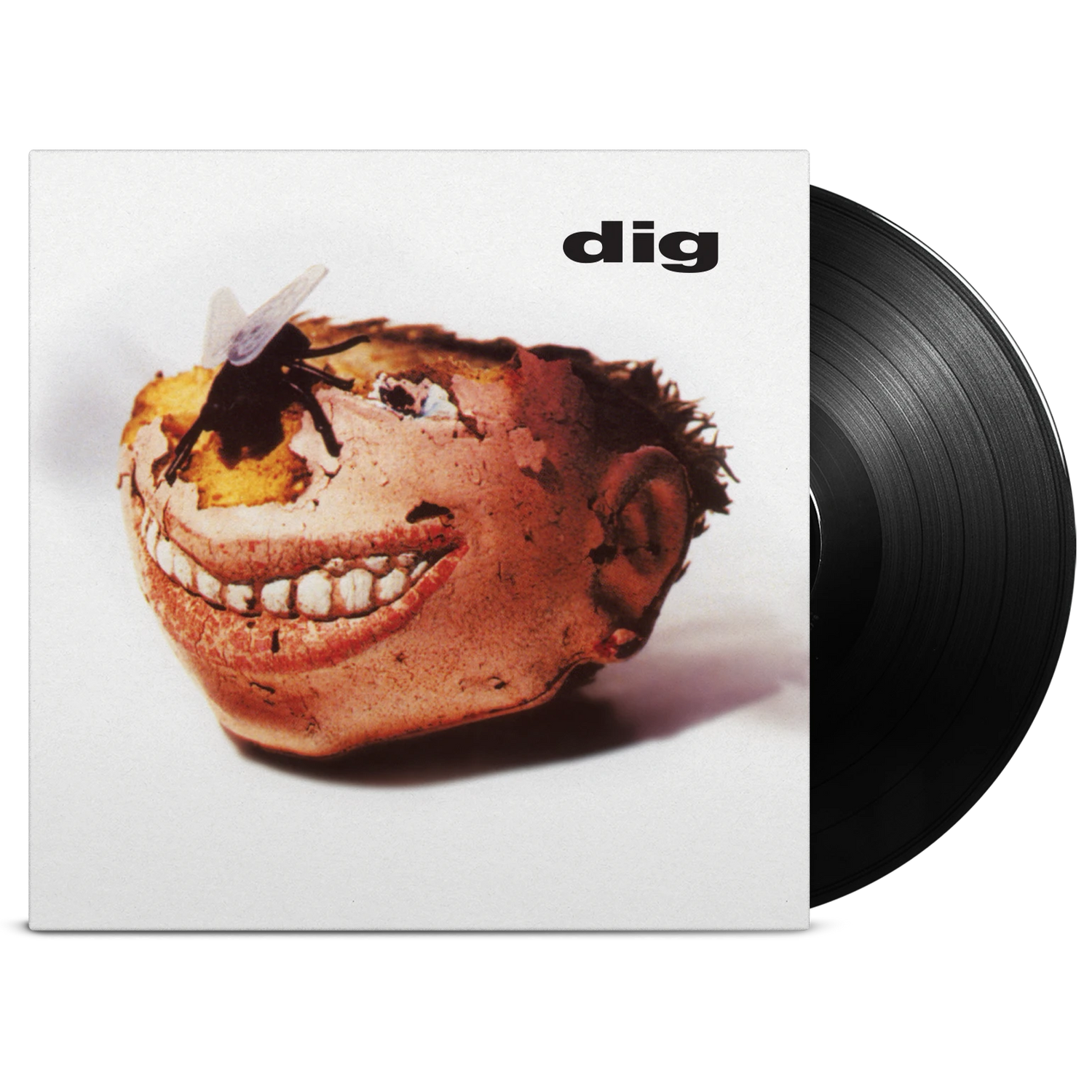 Dig