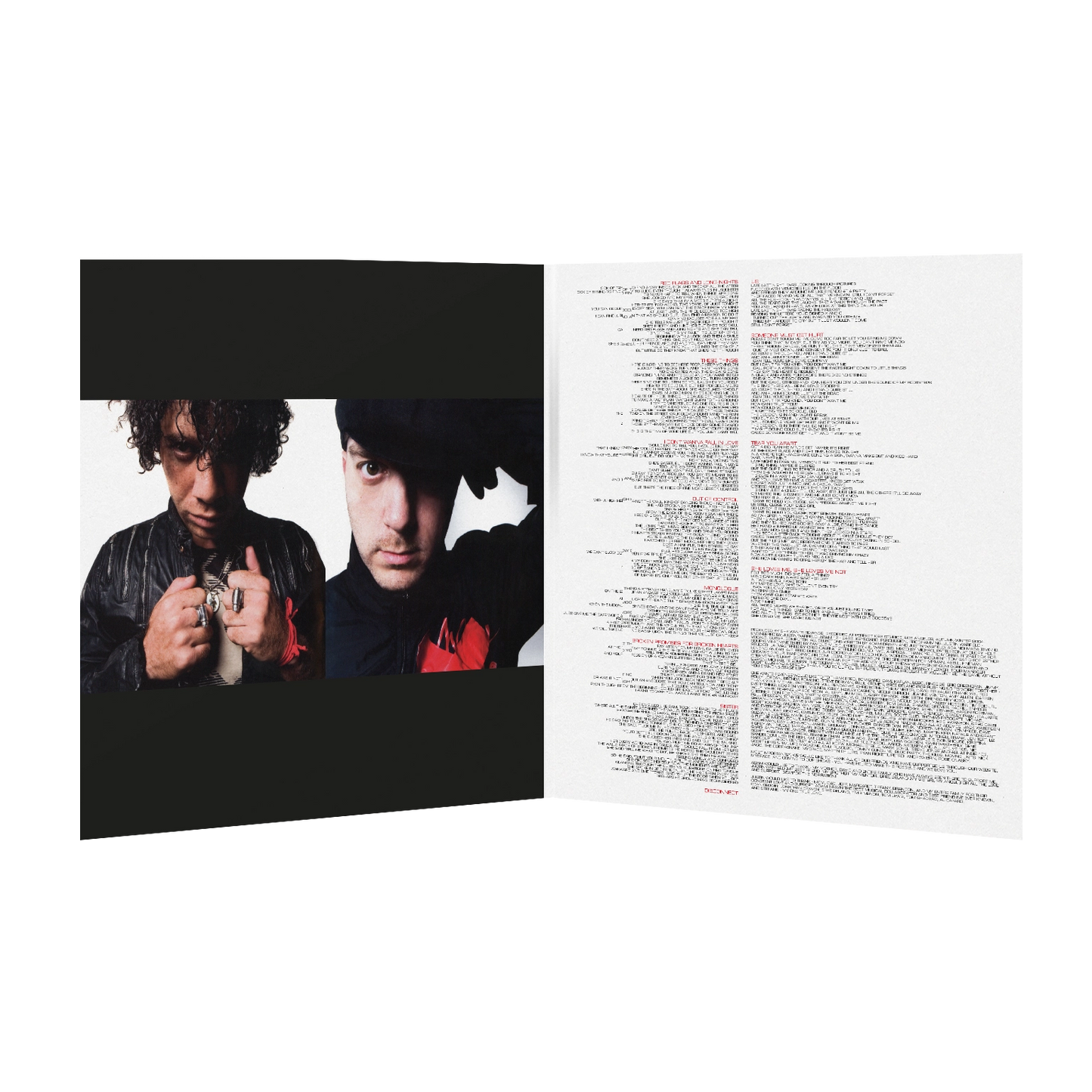 She Wants Revenge - Vinyl