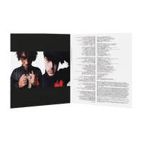 She Wants Revenge - Vinyl