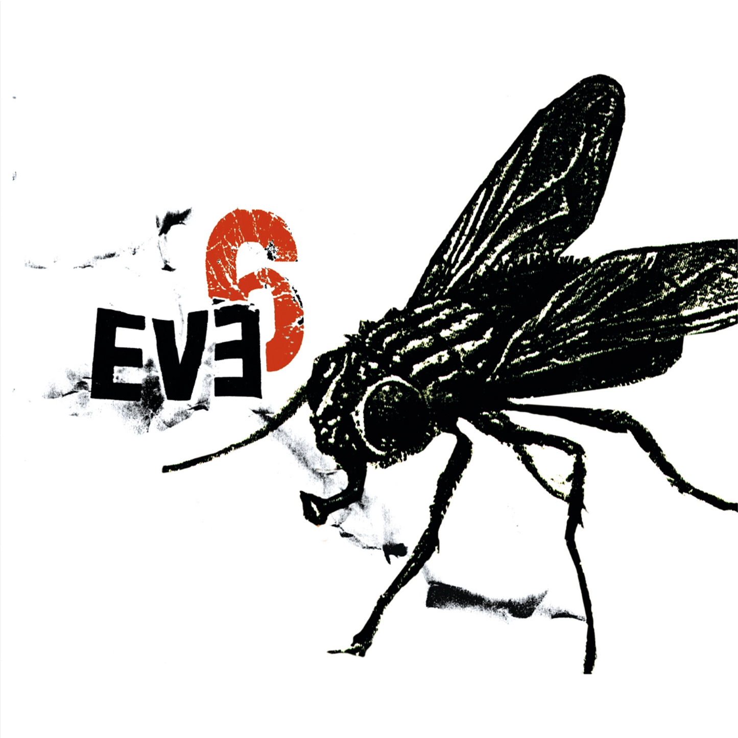 Eve 6