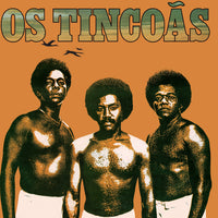 Os Tincoãs