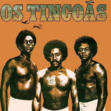 Os Tincoãs