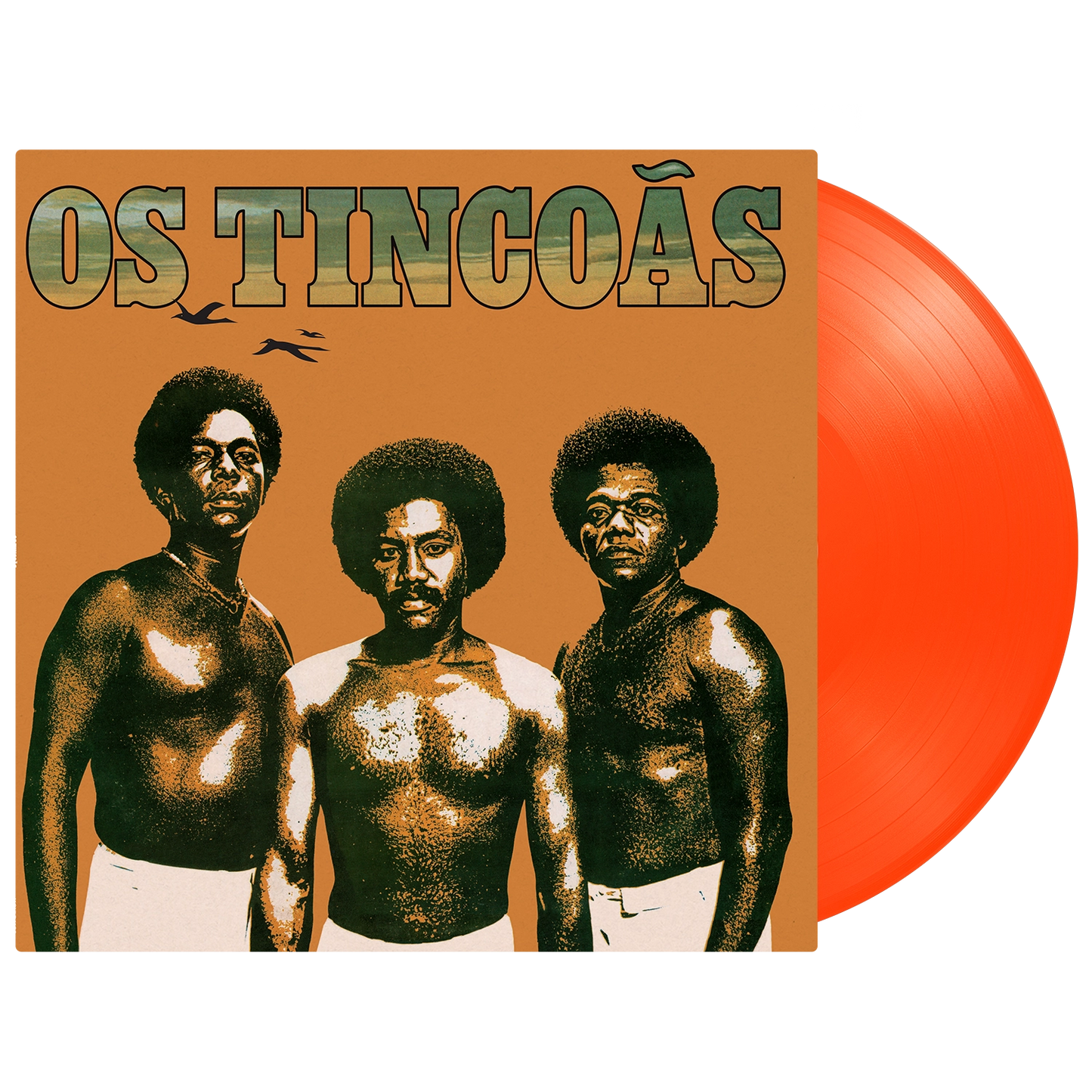 Os Tincoãs