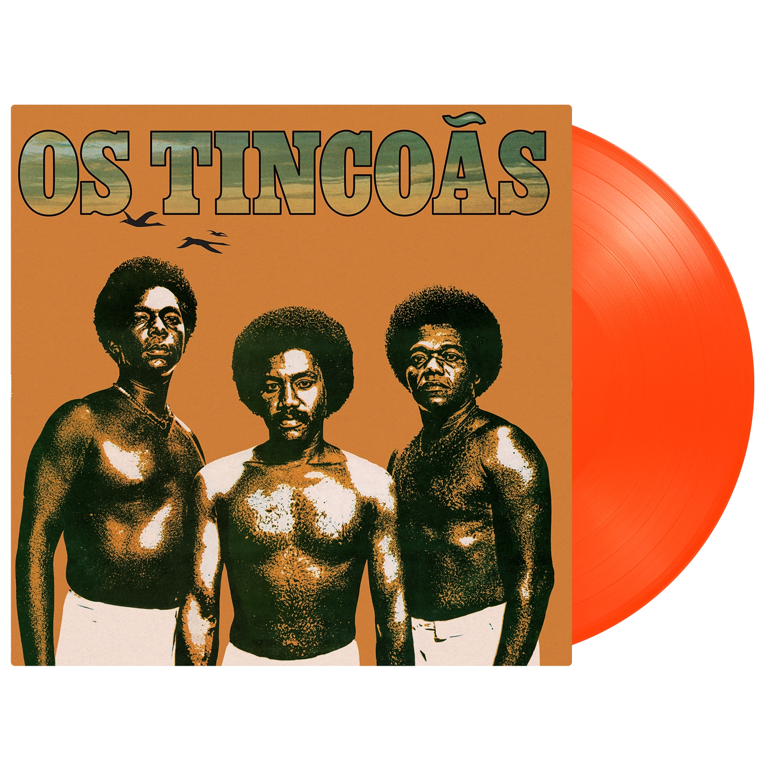 Os Tincoãs