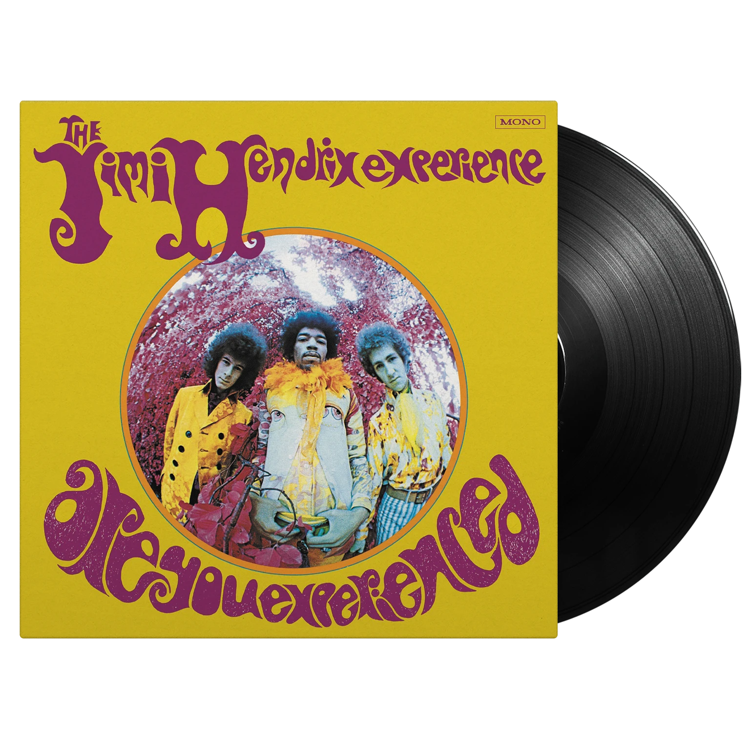 Are You Experienced =Us=