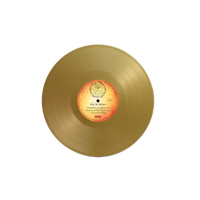 Soul Searching Sun - Gold Vinyl