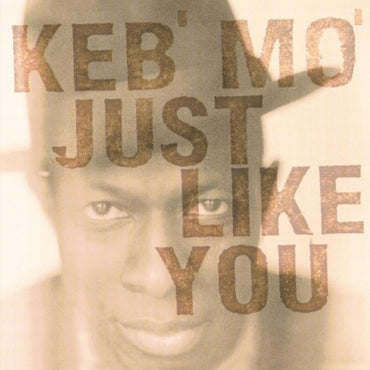 Just Like You - Vinyl