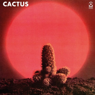 Cactus