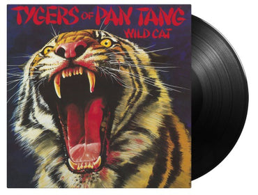 Wild Cat